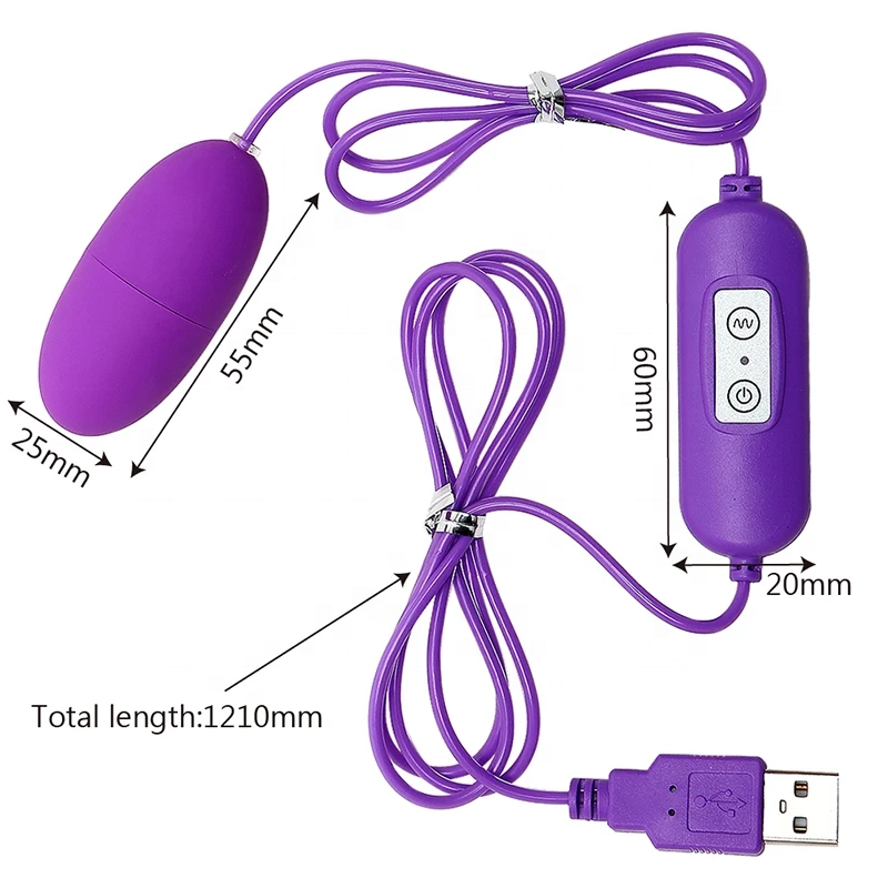 USB Charger Double Egg Bullet Vibrator With Kegel Balls Sex Toy for Woman - Image 3